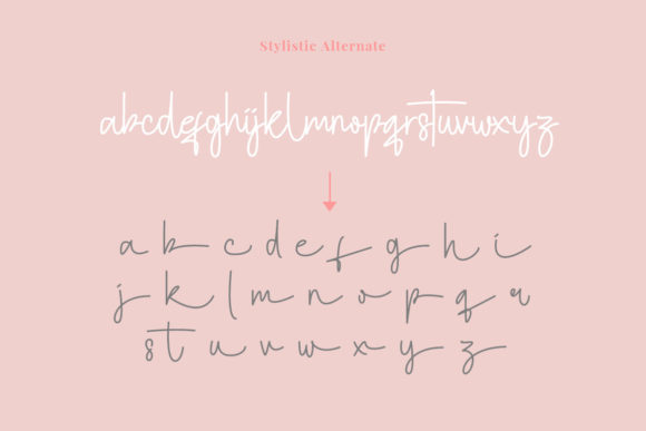 Hotamie Font Poster 5