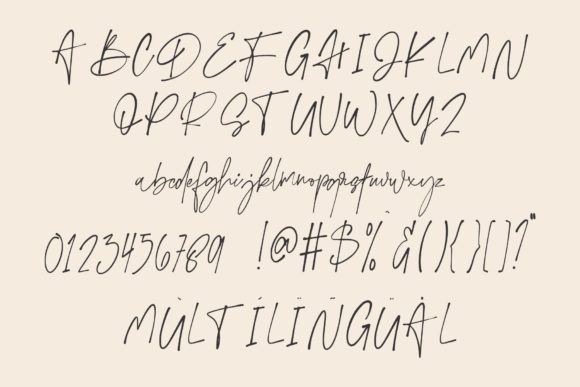 Houdient Font Poster 6