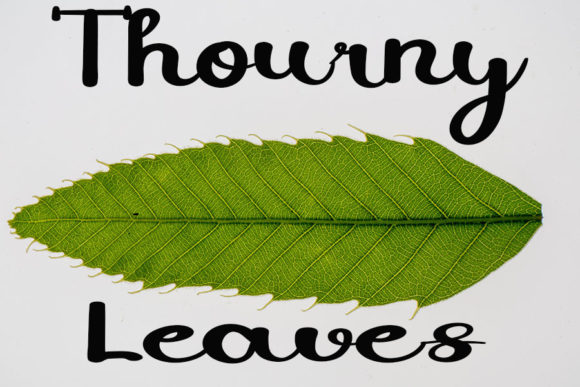Hounted House Font Poster 2