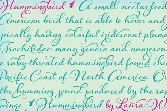 Hummingbird Family Font Poster 12