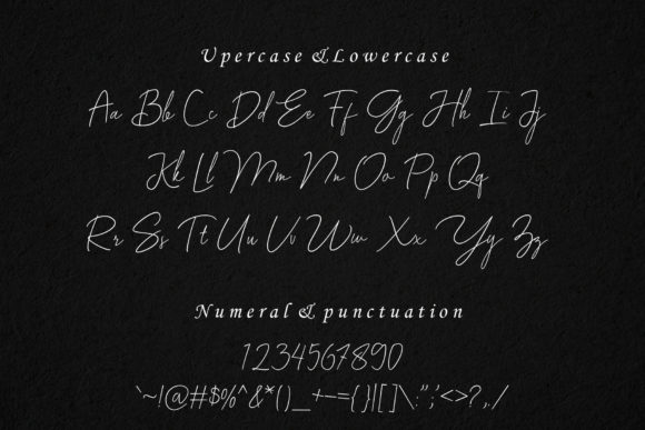 Ichtiyard Font Poster 4