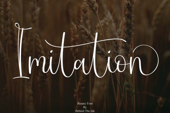 Imitation Font Poster 1
