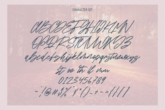 Intellections Script Font Poster 8