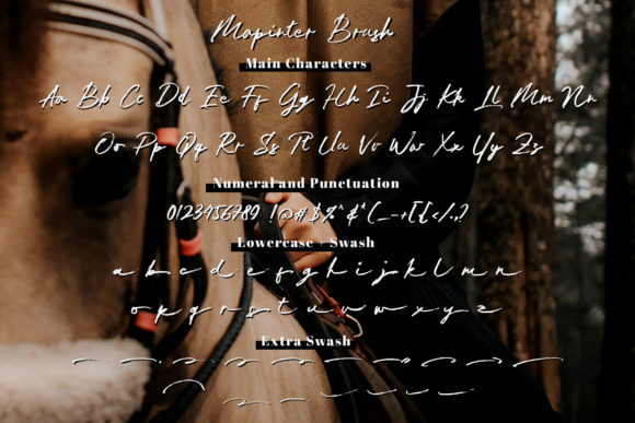 Jan Satipo Font Poster 7