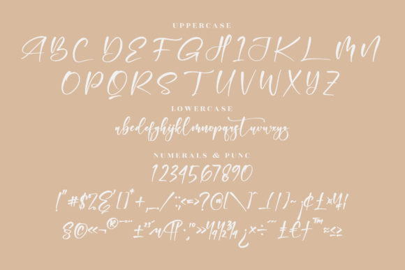Jelonta Font Poster 13