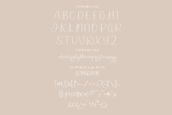 Jelystta Font Poster 13