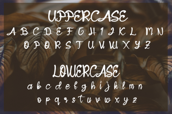 Jendra Font Poster 7