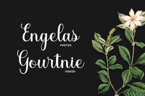 Jonalyn Script Font Poster 8