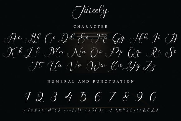 Juicely Font Poster 8