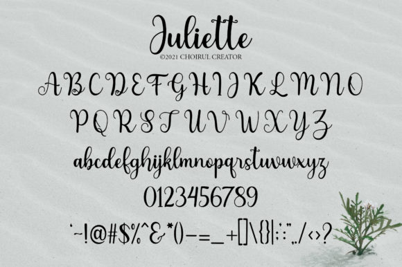 Juliette Font Poster 2