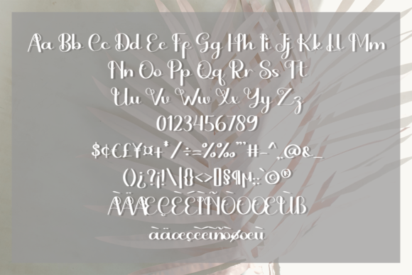 Just Beauty Font Poster 5