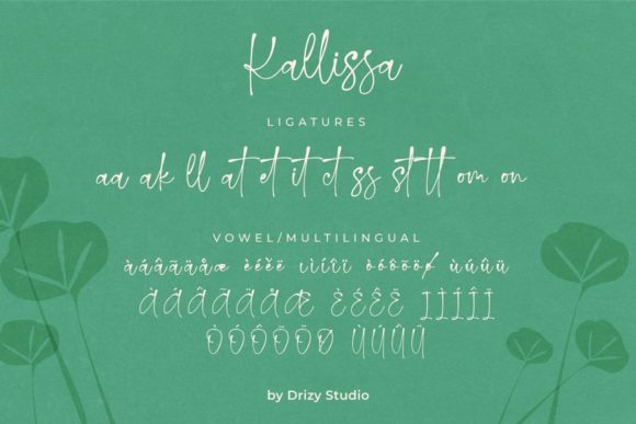 Kallissa Font Poster 3