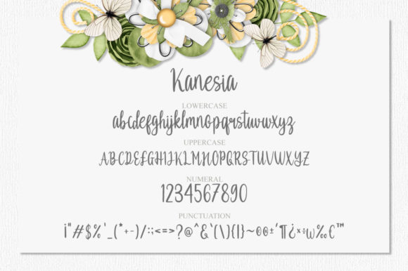 Kanesia Font Poster 6