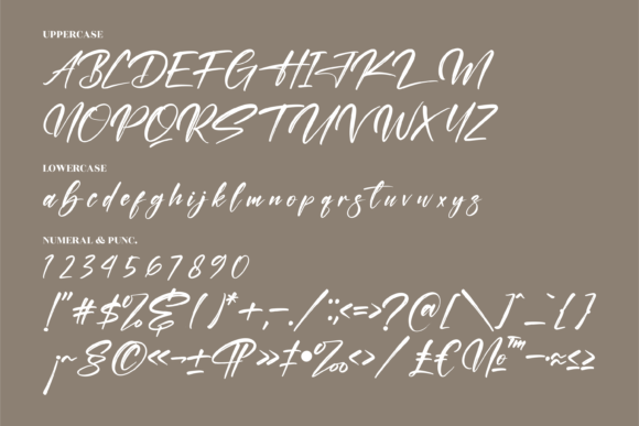 Kastelo Southern Font Poster 13