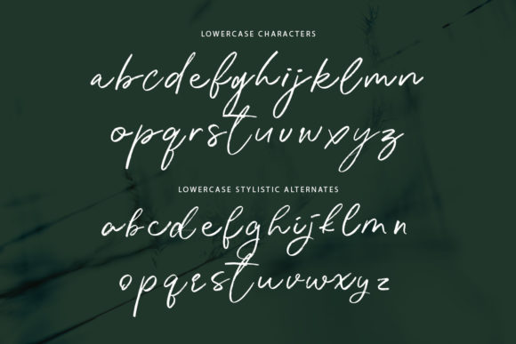 Katherina Font Poster 5
