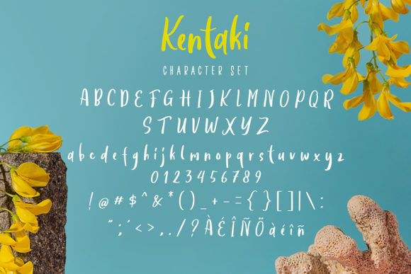 Kentaki Font Poster 6