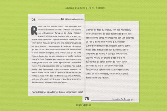 Kiwi Gooseberry Font Poster 7