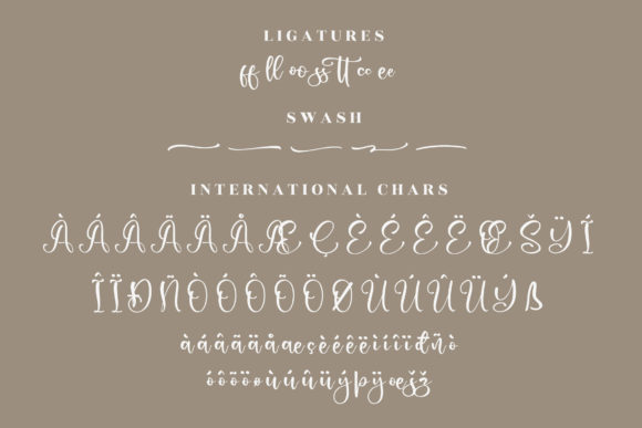 Ladytop Font Poster 14