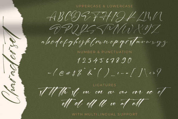 Laneky Haizen Font Poster 14