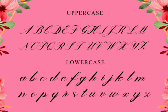 Lanita Font Poster 6