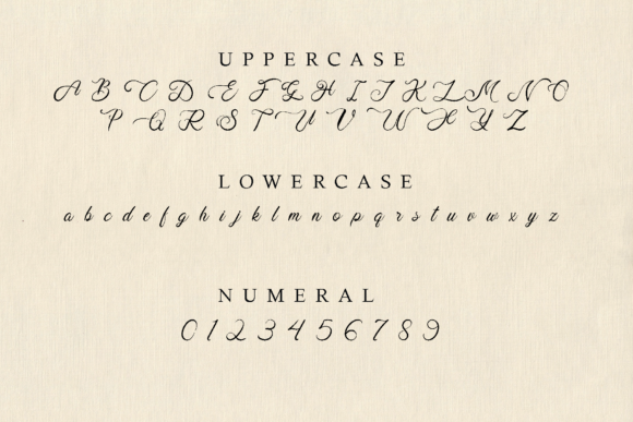 Lathin Sandy Font Poster 8