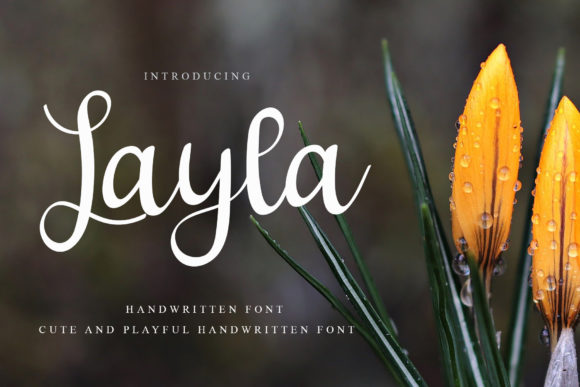 Layla Font Poster 1