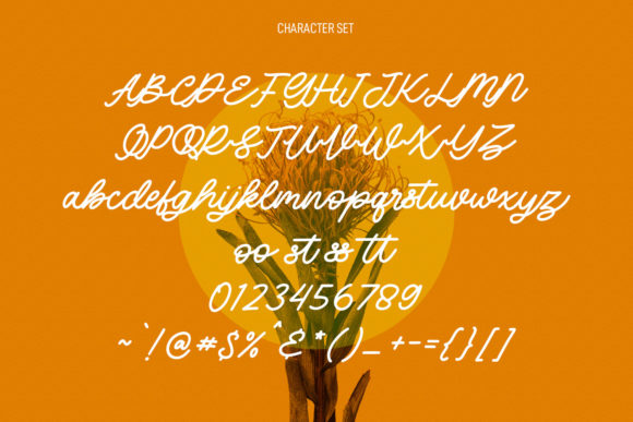 Lenteras Monoline Script Font Poster 8
