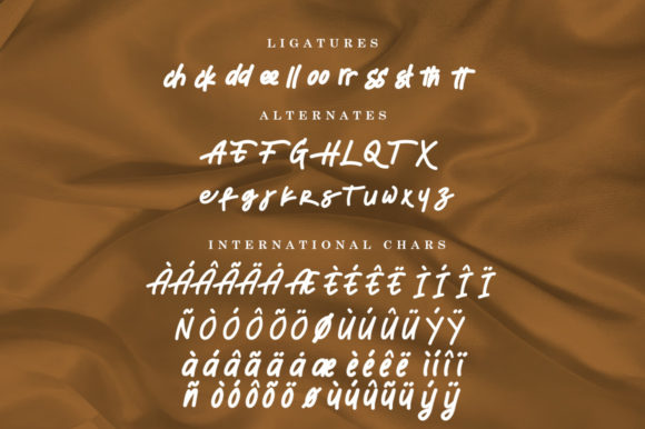 Leonardoo Font Poster 13