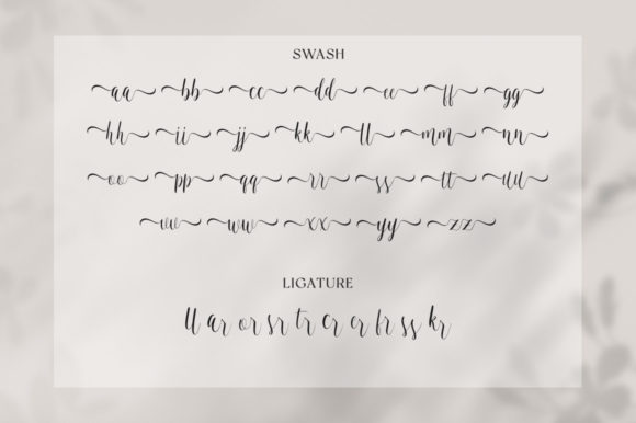 Leticia Font Poster 11
