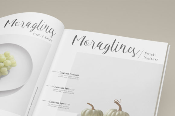 Leticia Font Poster 6