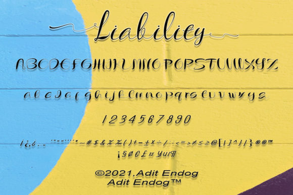 Liability Font Poster 6