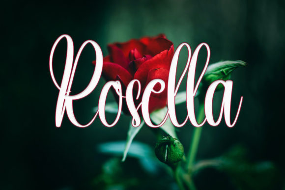 Liliana Font Poster 2