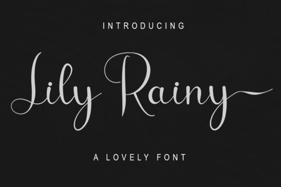 Lily Rainy Font Poster 1