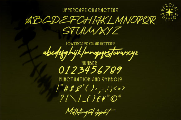 Little Theory Font Poster 6