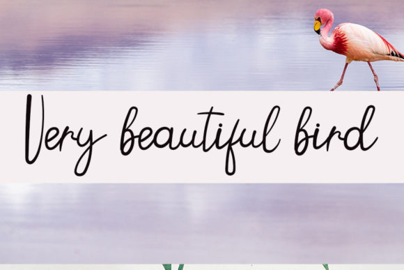 Long Holiday Font Poster 4