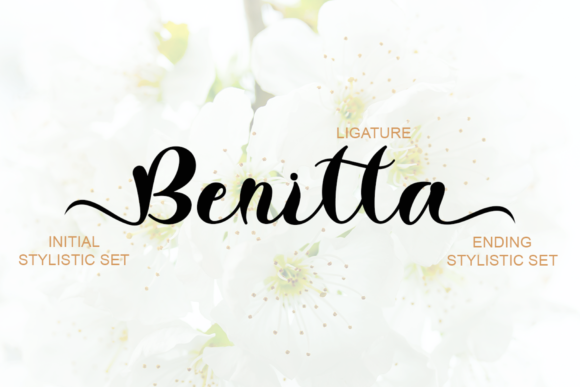Lottie Font Poster 5