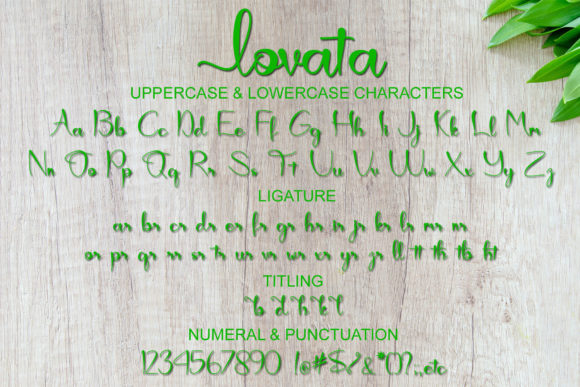 Lovata Font Poster 7