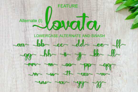 Lovata Font Poster 8