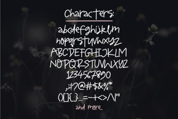 Lovely Mikayla Font Poster 2