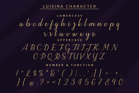 Luisina Font Poster 8