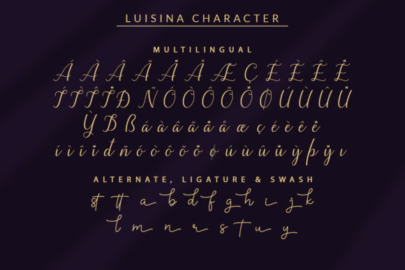 Luisina Font Poster 9