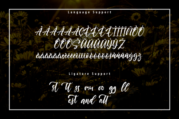 Lynette Font Poster 9