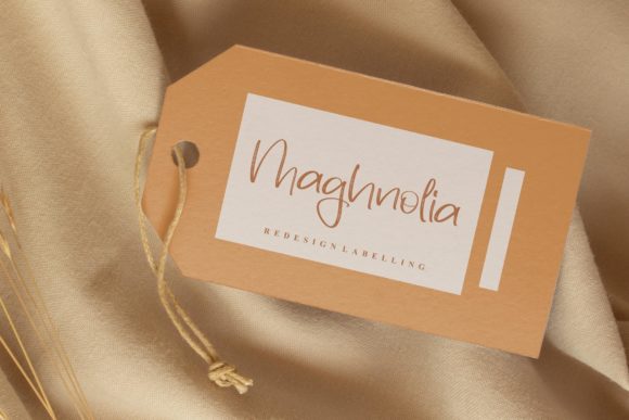 Machonia Agatha Font Poster 11