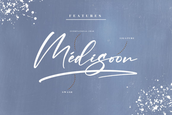 Madellina Font Poster 12