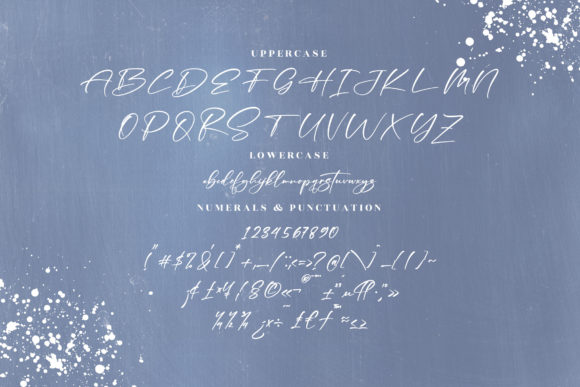 Madellina Font Poster 13
