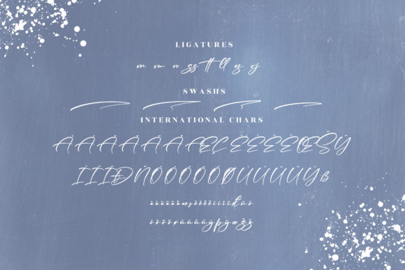 Madellina Font Poster 14