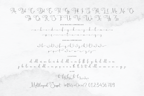 Maestrography Font Poster 9