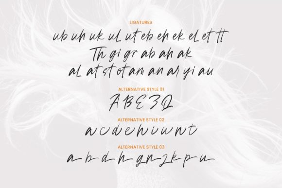 Magid Origon Font Poster 11
