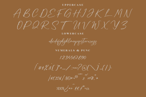 Magnolia Delmonte Font Poster 13