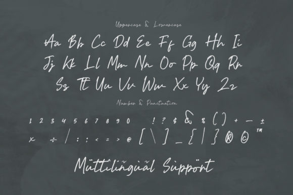 Malela Font Poster 2